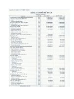 Báo cáo tài chính quý 2 năm 2009 - Công ty Cổ phần Vật tư Bến Thành