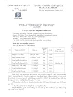 Báo cáo tình hình quản trị công ty - Tập đoàn Xăng dầu Việt Nam