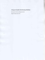 Báo cáo tài chính hợp nhất quý 2 năm 2015 (đã soát xét) - Công ty Cổ phần Ánh Dương Việt Nam