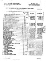 Báo cáo tài chính hợp nhất quý 1 năm 2012 - Công ty Cổ phần Sản xuất Thương mại Dịch vụ Phú Phong