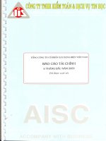 Báo cáo tài chính công ty mẹ quý 2 năm 2009 (đã soát xét) - Tổng công ty Cổ phần Xây dựng điện Việt Nam