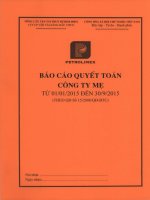 Báo cáo tài chính công ty mẹ quý 3 năm 2015 - Công ty Cổ phần Vận tải Xăng dầu VIPCO