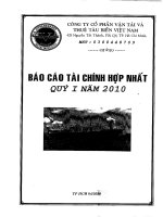 Báo cáo tài chính hợp nhất quý 1 năm 2010 - Công ty Cổ phần Vận tải và Thuê tàu biển Việt Nam