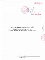 Báo cáo tài chính năm 2008 (đã kiểm toán) - Công ty Cổ phần Bất động sản Du lịch Ninh Vân Bay