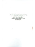 Báo cáo tài chính năm 2013 (đã kiểm toán) - Công ty Cổ phần Quảng cáo và Hội chợ Thương mại