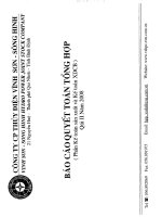 Báo cáo tài chính hợp nhất quý 2 năm 2008 - Công ty Cổ phần Thủy điện Vĩnh Sơn - Sông Hinh