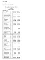 Báo cáo tài chính hợp nhất quý 1 năm 2010 - Công ty Cổ phần Vận tải Xăng dầu Đường thủy Petrolimex