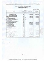 Báo cáo tài chính hợp nhất quý 2 năm 2013 - Công ty Cổ phần Du lịch Thành Thành Công