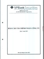 Báo cáo tài chính quý 1 năm 2013 - Công ty TNHH Chứng khoán Ngân hàng TMCP Việt Nam Thịnh Vượng