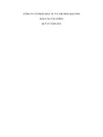 Báo cáo tài chính công ty mẹ quý 4 năm 2014 - Công ty cổ phần Đầu tư và Thương mại VNN