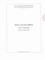 Báo cáo tài chính hợp nhất quý 1 năm 2016 - Công ty cổ phần Tập đoàn Container Việt Nam