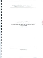 Báo cáo tài chính công ty mẹ quý 4 năm 2010 - Công ty Cổ phần Bất động sản Du lịch Ninh Vân Bay