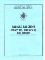 Báo cáo tài chính công ty mẹ quý 2 năm 2012 - Tổng công ty Cổ phần Xây dựng điện Việt Nam