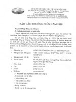 Báo cáo thường niên năm 2010 - Công ty Cổ phần Vận tải biển Việt Nam