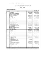 Báo cáo tài chính quý 3 năm 2010 - Công ty Cổ phần Đầu tư Phát triển Thương mại Viễn Đông