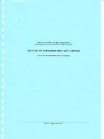 Báo cáo tài chính hợp nhất quý 1 năm 2010 - Công ty Cổ phần Tập đoàn Đại Dương