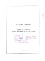 Báo cáo tài chính quý 4 năm 2015 - CTCP Phát triển Điện lực Việt Nam