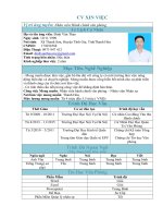 CV xin việc cho Văn phòng