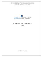 Báo cáo thường niên năm 2010 - Công ty Cổ phần Khách sạn và Dịch vụ Đại Dương