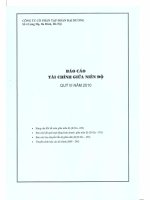Báo cáo tài chính công ty mẹ quý 3 năm 2010 - Công ty Cổ phần Tập đoàn Đại Dương