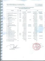 Báo cáo KQKD quý 2 năm 2010 - Công ty Cổ phần Bất động sản Du lịch Ninh Vân Bay