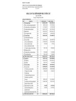 Báo cáo tài chính quý 2 năm 2008 - Công ty Cổ phần Vận tải Xăng dầu Đường thủy Petrolimex