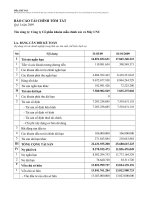 Báo cáo tài chính quý 1 năm 2009 - Công ty cổ phần Sản xuất, Thương mại và Dịch vụ ôtô PTM