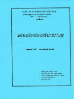 Báo cáo tài chính công ty mẹ quý 1 năm 2016 - Công ty Cổ phần Ánh Dương Việt Nam