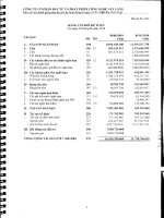 Báo cáo tài chính quý 2 năm 2010 - Công ty Cổ phần Đầu tư và Phát triển Công nghệ Văn Lang
