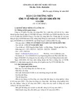 Báo cáo thường niên năm 2009 - Công ty Cổ phần Vật liệu xây dựng Bến Tre