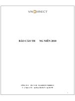 Báo cáo thường niên năm 2010 - Công ty cổ phần Chứng khoán VNDIRECT