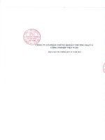 Báo cáo tài chính quý 4 năm 2012 - Công ty Cổ phần Chứng khoán Thương mại và Công nghiệp Việt Nam