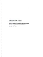 Báo cáo tài chính năm 2015 (đã kiểm toán) - CTCP Phát triển Điện lực Việt Nam