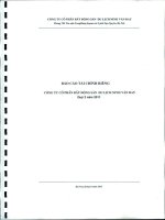 Báo cáo tài chính công ty mẹ quý 2 năm 2011 - Công ty Cổ phần Bất động sản Du lịch Ninh Vân Bay