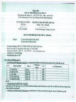 Báo cáo tình hình quản trị công ty - CTCP Thuốc sát trùng Việt Nam