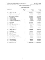 Báo cáo tài chính quý 1 năm 2010 - Công ty cổ phần Sản xuất, Thương mại và Dịch vụ ôtô PTM