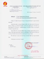 Nghị quyết Hội đồng Quản trị ngày 28-2-2011 - Tập đoàn Vingroup - Công ty Cổ phần