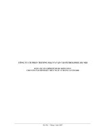 Báo cáo tài chính năm 2006 (đã kiểm toán) - Công ty Cổ phần Thương mại và Vận tải Petrolimex Hà Nội