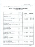 Báo cáo tài chính hợp nhất quý 3 năm 2010 - Công ty Cổ phần Thủy hải sản Việt Nhật