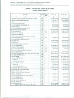 Báo cáo tài chính hợp nhất quý 1 năm 2011 - Công ty Cổ phần Đầu tư và Xây dựng Cấp thoát nước