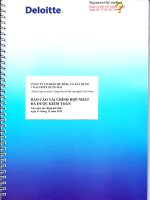 Báo cáo tài chính hợp nhất năm 2012 (đã kiểm toán) - Công ty cổ phần Bê tông và Xây dựng Vinaconex Xuân Mai