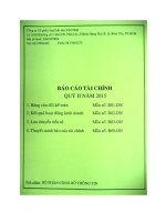 Báo cáo tài chính quý 2 năm 2015 - Công ty Cổ phần Thủy hải sản Việt Nhật