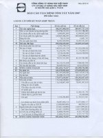 Báo cáo tài chính hợp nhất năm 2007 (đã kiểm toán) - Công ty cổ phần Đại lý Hàng hải Việt Nam