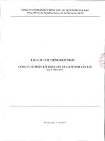 Báo cáo tài chính hợp nhất quý 1 năm 2011 - Công ty Cổ phần Bất động sản Du lịch Ninh Vân Bay