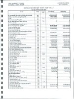 Báo cáo tài chính hợp nhất quý 1 năm 2010 - Công ty Cổ phần Nhựa Tân Hóa