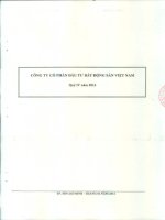 Báo cáo tài chính công ty mẹ quý 4 năm 2014 - Công ty cổ phần Đầu tư Bất động sản Việt Nam