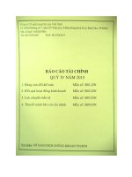 Báo cáo tài chính quý 4 năm 2015 - Công ty Cổ phần Thủy hải sản Việt Nhật