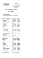 Báo cáo tài chính hợp nhất quý 3 năm 2009 - Công ty Cổ phần Vận tải và Thuê tàu biển Việt Nam