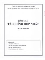 Báo cáo tài chính hợp nhất quý năm PhanTichBaoCao - Công ty Cổ phần Luyện kim Phú Thịnh