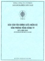 Báo cáo tài chính công ty mẹ quý 4 năm 2009 - Tổng công ty Cổ phần Xây dựng điện Việt Nam